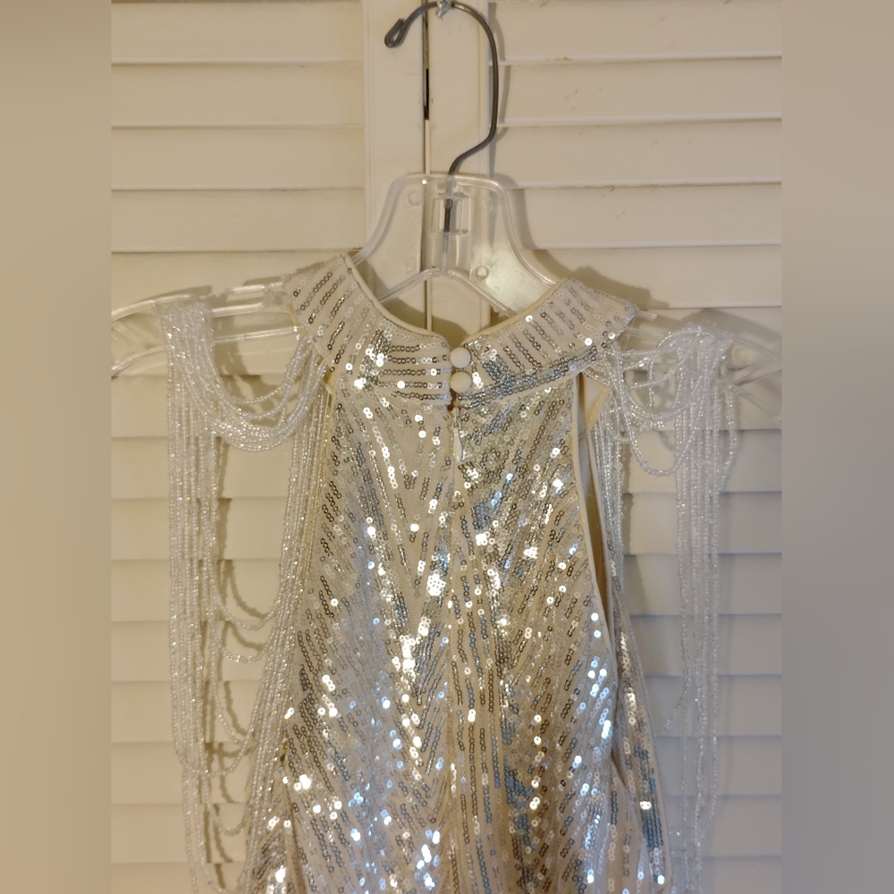 Elegant Silver Evening Gown - Picture 5 of 10